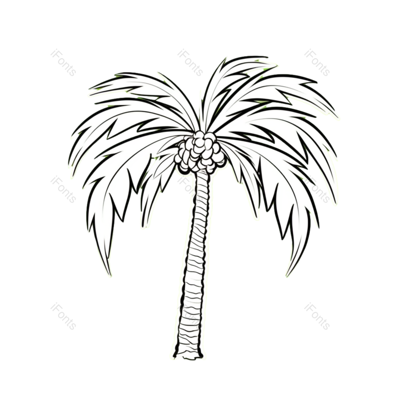夏天图片,自然元素,森林PNG,椰子树免抠素材